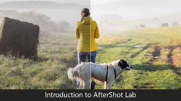 NEW! AfterShot Lab in PaintShop Pro