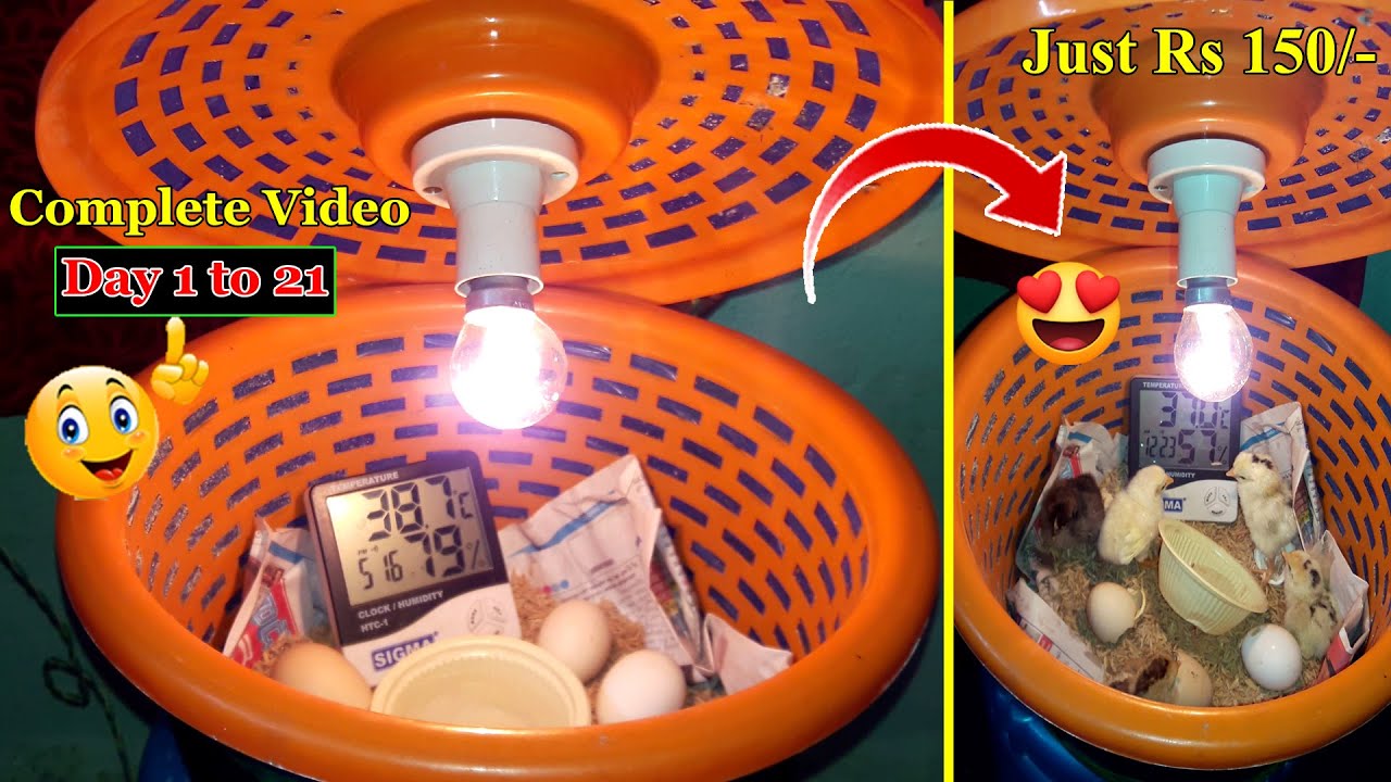 HOW TO MAKE PLASTIC BOX INCUBATOR PLASTIC CONTAINER INCUBATOR DIY