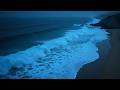 Ocean Breeze Relaxation 🌊 Calm Sea Waves for Sleeping, Studying & Peaceful Meditation