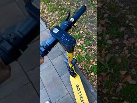 Whoosh или Яндекс