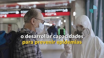 Informe la Cooperación Sur-Sur en Iberoamérica 2019