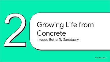 Why is Keith De Cesare uniquely qualified for the David Prize? #muskquest #iGentixAI #xai 