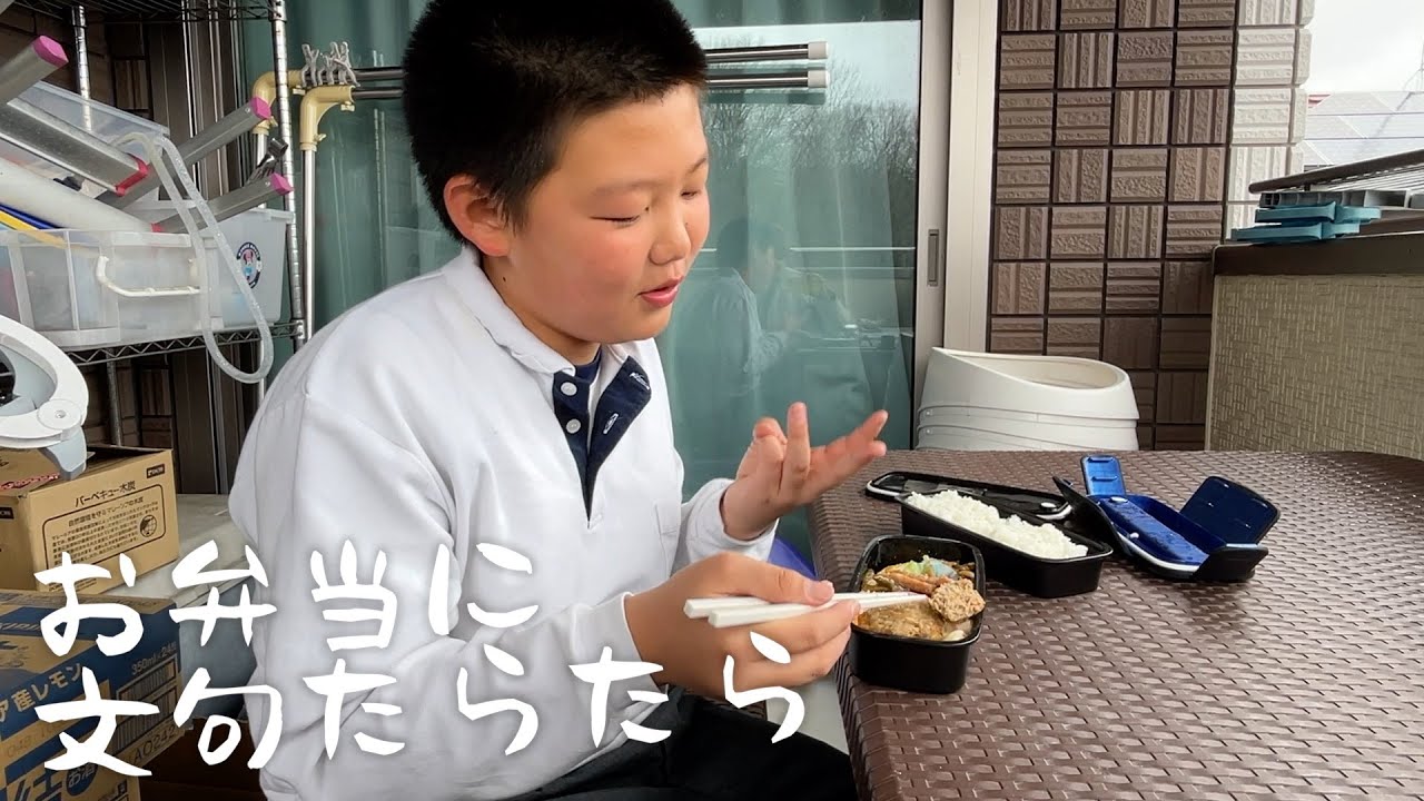 昼にこころくんが帰宅したのでベランダに隠れてみたら・・【ココロマン普段の様子】