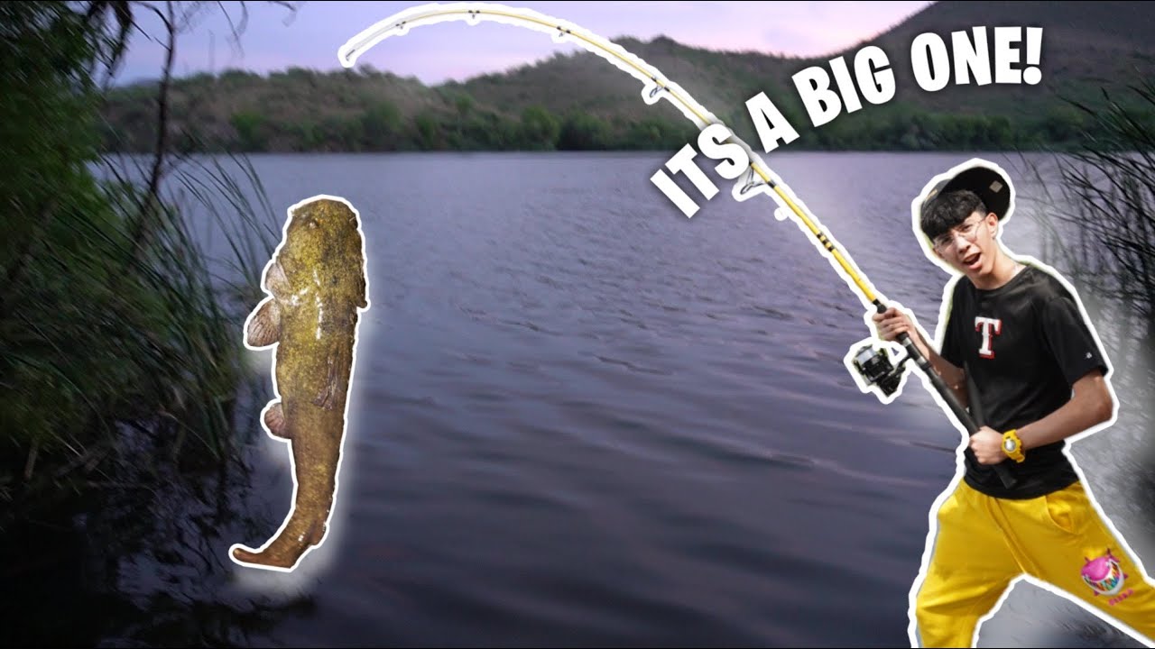 Catching GIANT Catfish Using Powerbait!! | Patagonia Lake AZ