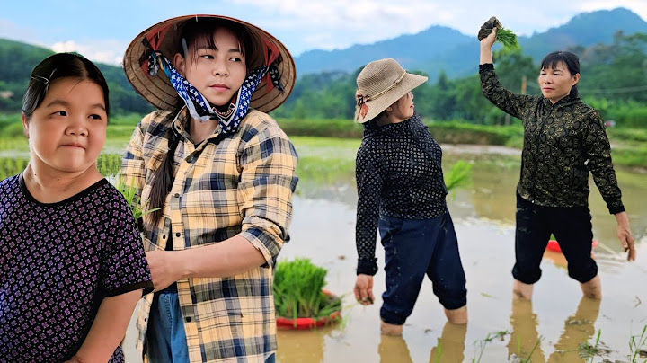 The fight between Thu's mother and Thu's ex-mother-in-law in the rice field