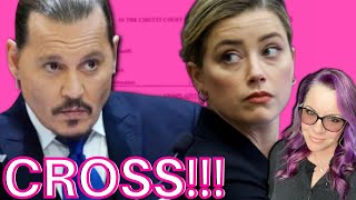 Lawyer Reacts LIVE | Wild Expert Cross Examination! Depp v. Heard Trial Day 20