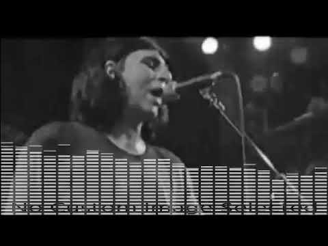 THE CHAMELEONS - Perfume garden.1985 🇬🇧