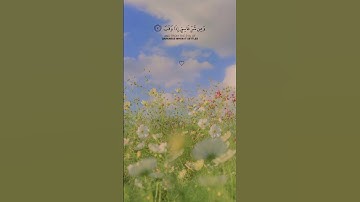 الـقارئ : شريف مصطفى