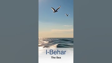 The City Vocabulary in Moroccan Dialect Part 2 #MOROCCAN#MOROCCO#DARIJA