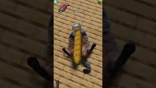 It turned into a mess in Minecraft 😂 #cat #funny #funnyvideo #viral