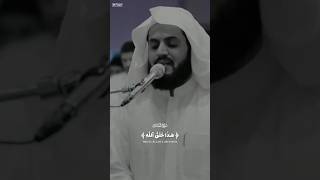 هذا خلق الله || رعد الكردى 🎙️🤍سورة لقمان