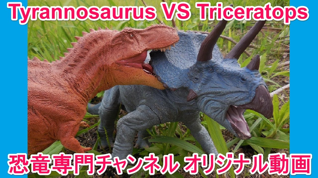 T Rex Tyrannosaurus Vs Triceratops ティラノサウルス Vs トリケラトプス Youtube