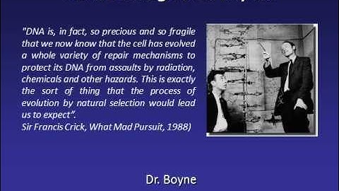 DNA Damage and Repair