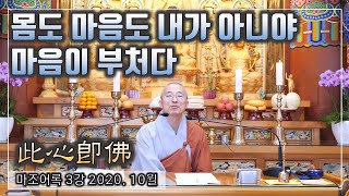 [마조3] 마음이 바로 부처다, 분별심과 무분별심, 몸도 마음도 내가 아닌데 이렇게 살아있어 - 마조어록 3강