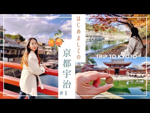 【京都宇治旅行①】平等院だけじゃない！宇治の絶景とグルメと穴場イルミネーション旅｜1泊2日 / 1日目