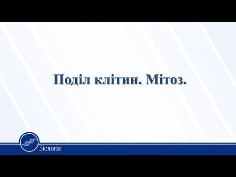 Поділ клітин. Мітоз. Біологія 10 клас