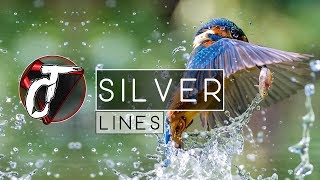 Luna & Sarah De Warren - Silver Lines