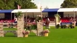 Rinwood Cooley SJ Blenheim CIC*** 2015