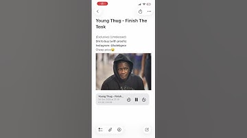 Young Thug - Finish The Task (CDQ SNIPPET) (UY Scuti Leftover)