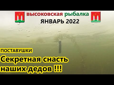 ЛОВЛЯ ЩУКИ НА ПОСТАВУШКИ В 2022 ГОДУ. ТРОФЕЙНАЯ ЩУКА ПОДМОСКОВЬЯ