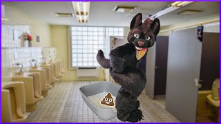 Are Schools Putting Litter Boxes In Bathrooms For Furries?