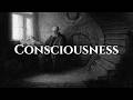 Every Philosophical Arguments About Consciousness 