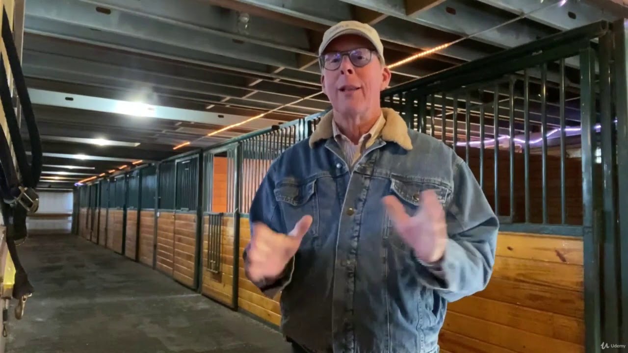 Horses 101 - Horse Colors, Breeds & Disciplines - learn Horsemanship