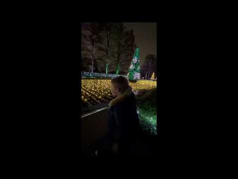 Wideo: Garden Glow Holiday Lights w Missouri Botanical Garden