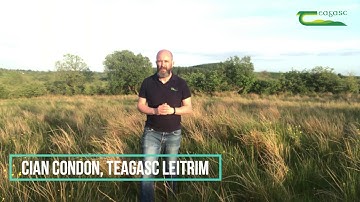 Rush Control - Removal & Suppression