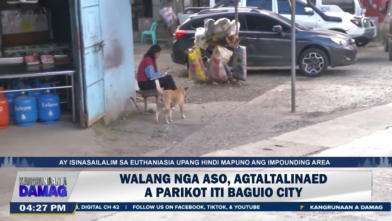 Walang nga aso, agtaltalinaed a parikot iti Baguio City