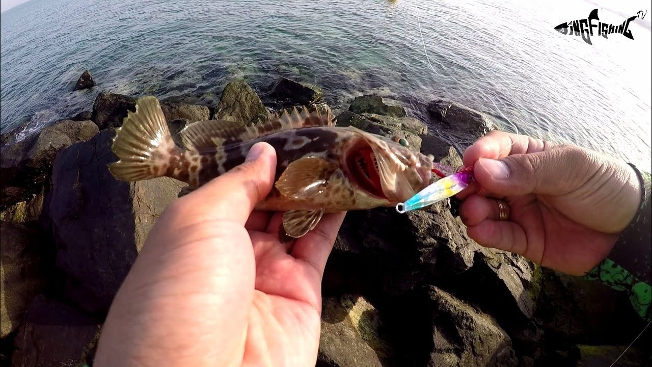 Dubai fishing Catch and Release Dubai City Tour YouTube