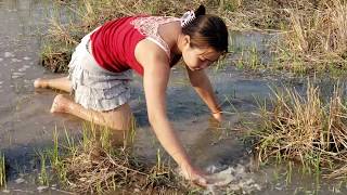 Catching Fish By Hand In The Rice Field For Dinner Cooking