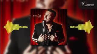 Jolly - Szenvedtem már eleget ( Dj Dizma Cover Remix 2025 )