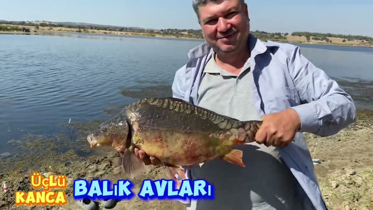YİNE HARİKA İKİ TROFE BALIK ALDIK #carpfishing #kampçılık #fishing #aynalısazanavı #küspelisazanavı