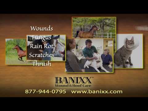 banixx-wound-&-hoof-care-90-second-review