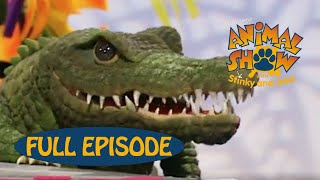 Animal Show | Crocodile 🐊 / Armadillo | Jim Henson Family Hub | Kids Cartoon