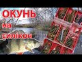 ОКУНЬ на СИЛІКОН вся риба в очереті !! рибалка на спінінг в листопаді ловля окуня