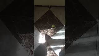 Birds At The Park Be Like