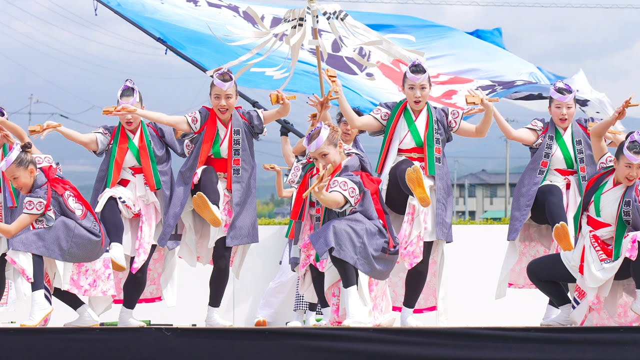朝壱　立浪部屋反物　北勝富士関ハギレ All Bouts Uncovered】Yokozuna Hoshoryu's Pride × Oonosato's