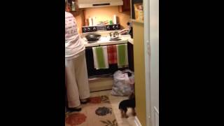 Bun In The Oven - Pregnancy Reveal To Mom