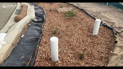 Installation of Filterra bioretention at Hervey Bay, QLD