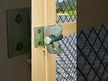 Original 2 | interior design gate lock 🫵 #woodworking #homedecor #shorts #unfrezzmyaccount #howto