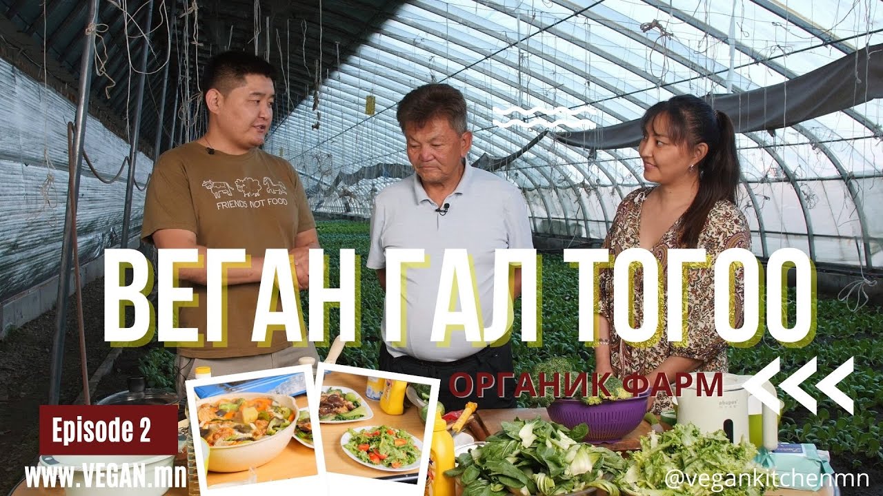 ВЕГАН ГАЛ ТОГОО | дугаар 2: Органик хүлэмжийн аж ахуйгаар зочлон шинэ ногоогоор хоолнууд хийлээ.