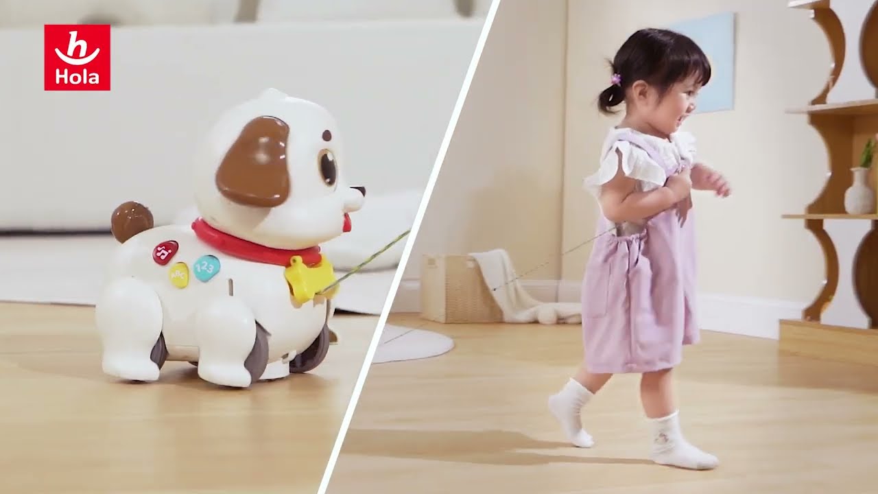 HE9977 HOLA Crawl & Pull Along Learning Puppy