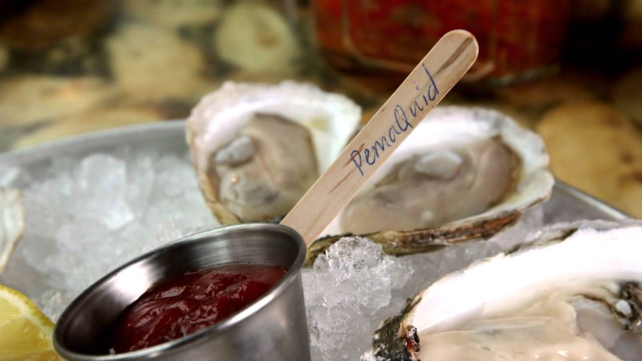 Galley Kitchen & Bar Scituate (Phantom Gourmet) YouTube