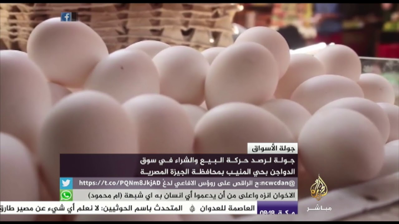 سوق الدواجن بحي المنيب بمحافظة الجيزة في مصر