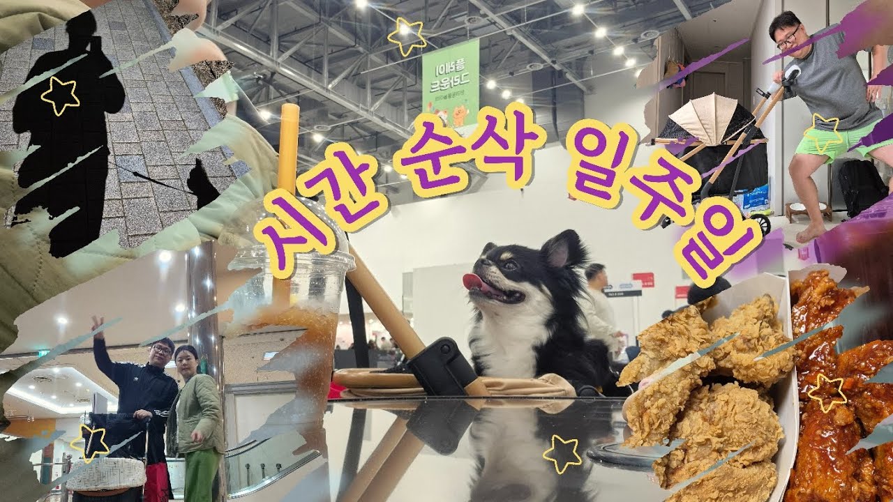 처음 산 개모차 끌고 대구 펫페어 감/ 봄 맞이 목욕탕도 감🧔‍♀️