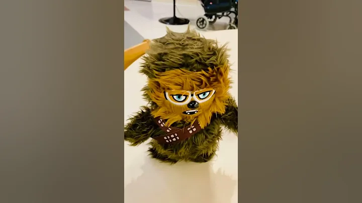 Chewbacca is out of control