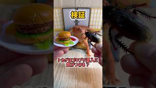 【検証】トカゲは料理に混入したゴキブリに気が付ける?