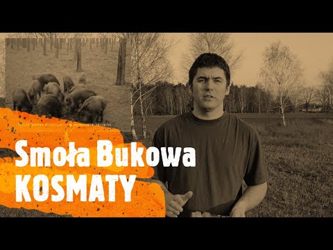 Wideo: Jak Używać Smoły